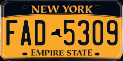 NY license plate FAD5309