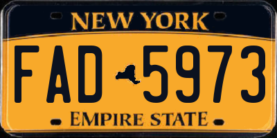 NY license plate FAD5973