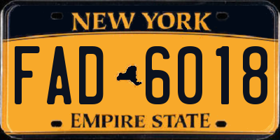 NY license plate FAD6018