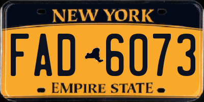 NY license plate FAD6073