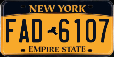 NY license plate FAD6107