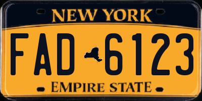 NY license plate FAD6123