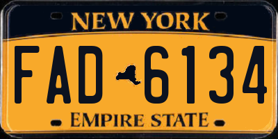 NY license plate FAD6134