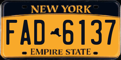 NY license plate FAD6137