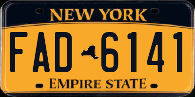 NY license plate FAD6141