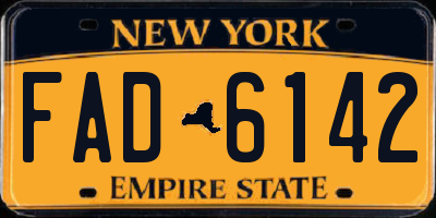 NY license plate FAD6142