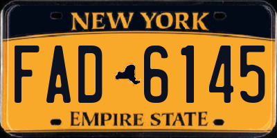 NY license plate FAD6145