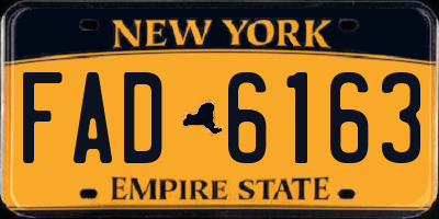 NY license plate FAD6163