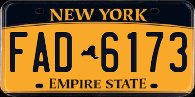 NY license plate FAD6173