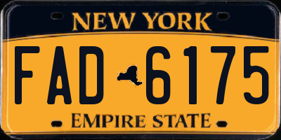 NY license plate FAD6175