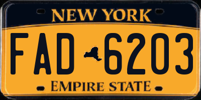 NY license plate FAD6203