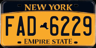 NY license plate FAD6229