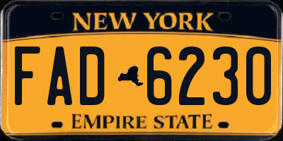 NY license plate FAD6230