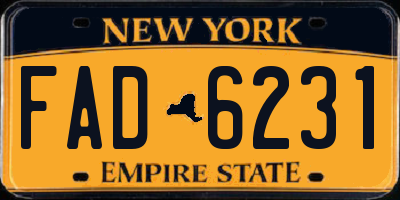 NY license plate FAD6231