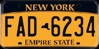 NY license plate FAD6234