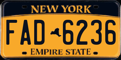 NY license plate FAD6236