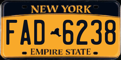 NY license plate FAD6238