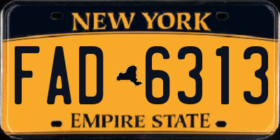 NY license plate FAD6313