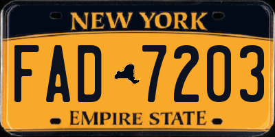NY license plate FAD7203