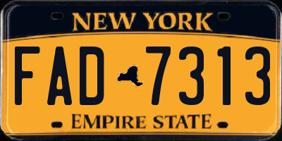 NY license plate FAD7313