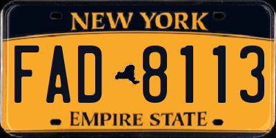 NY license plate FAD8113
