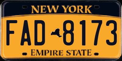 NY license plate FAD8173
