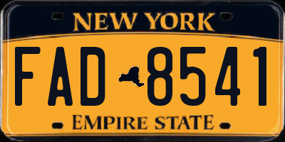 NY license plate FAD8541