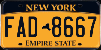 NY license plate FAD8667