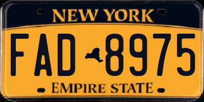 NY license plate FAD8975