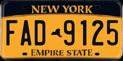 NY license plate FAD9125