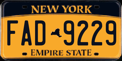 NY license plate FAD9229