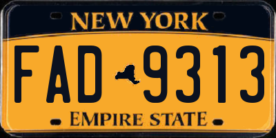 NY license plate FAD9313