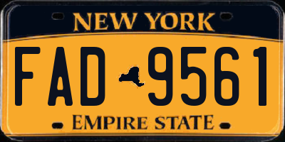 NY license plate FAD9561
