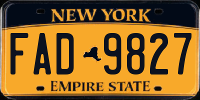 NY license plate FAD9827