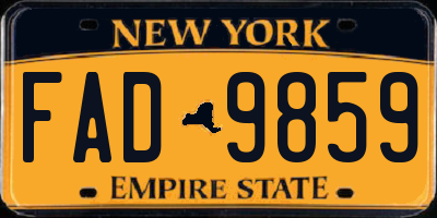 NY license plate FAD9859