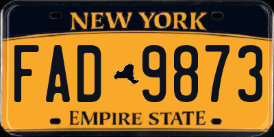 NY license plate FAD9873
