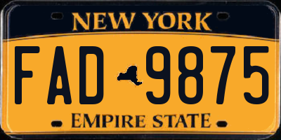 NY license plate FAD9875