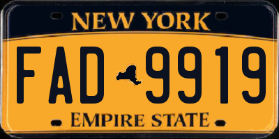 NY license plate FAD9919