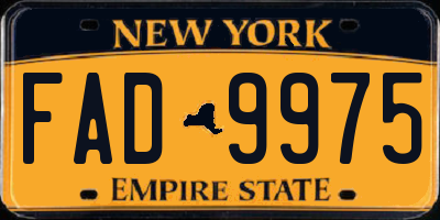 NY license plate FAD9975
