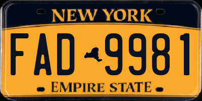 NY license plate FAD9981