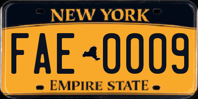 NY license plate FAE0009