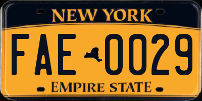 NY license plate FAE0029