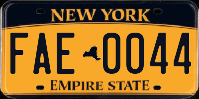 NY license plate FAE0044