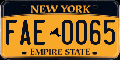 NY license plate FAE0065