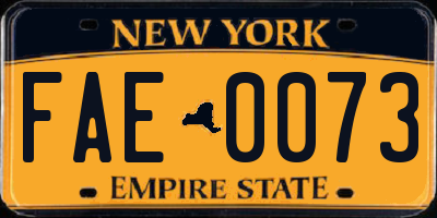 NY license plate FAE0073