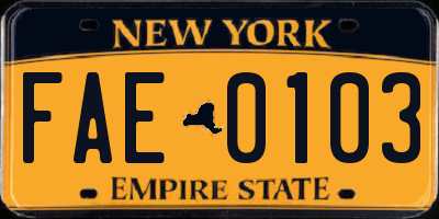 NY license plate FAE0103