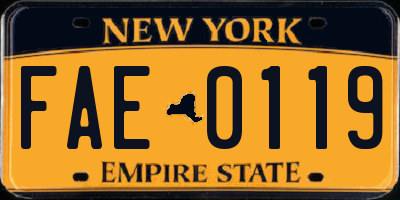 NY license plate FAE0119