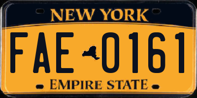 NY license plate FAE0161
