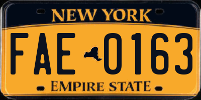 NY license plate FAE0163