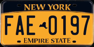 NY license plate FAE0197